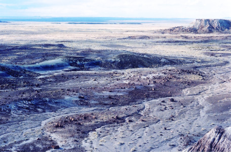 [Looking out over a vast valley with many dots of darker color against the light color of the ground. All those dark dots are pieces of petrified wood.]